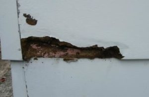 Weatherside-3-300x196